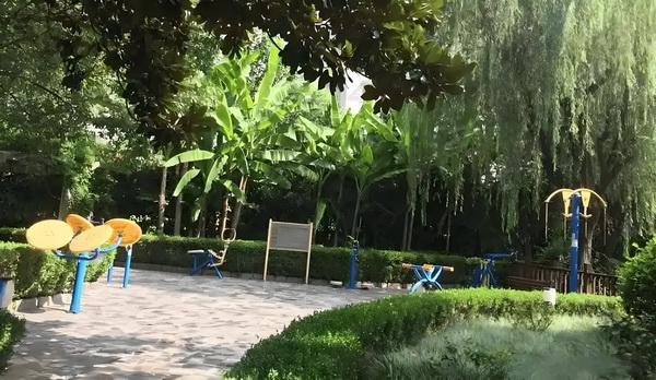 娘子好抢手